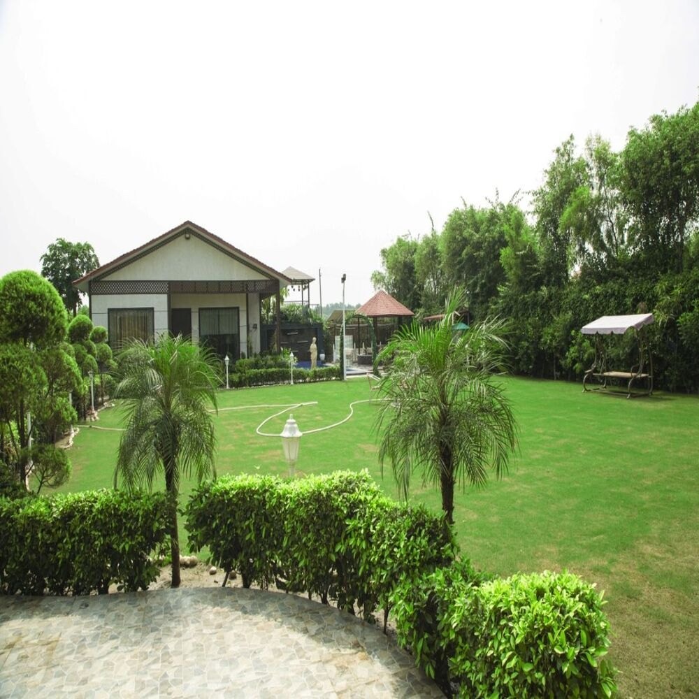 Stunning Terrace Garden Ideas for Urban Homes in UP